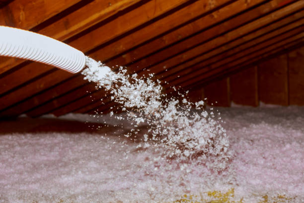 Best Geographic-Specific Insulation Services in Bonner Springs, KS