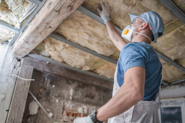 Best Energy Efficiency Insulation in Bonner Springs, KS