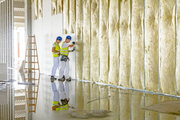 Best DIY Insulation Kits and Guidance in Bonner Springs, KS